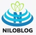 Web Design  & programing